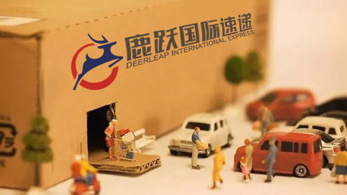 国际快递可以邮寄食品吗