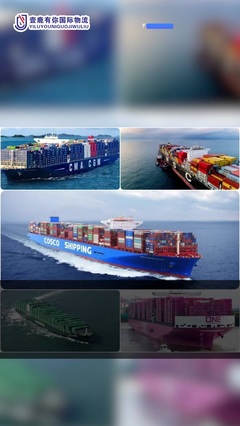 壹鹿有你国际物流