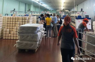 乌兹别克斯坦工厂篇 与睿盈达国际展览集团小睿睿一起走进uztex