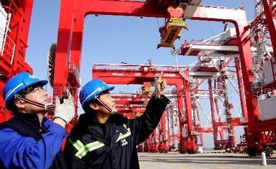 【委内瑞拉服务上海国际海运(图)】价格_厂家_图片
