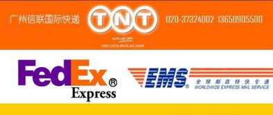 越秀区瑶台DHL国际快递服务指南与使用方法